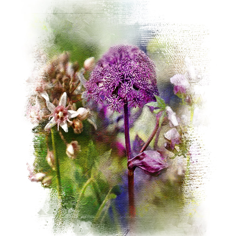 Watercolor Botanical Artwork A watercolor-style image of purple and white flowers in a soft, artistic garden scene.