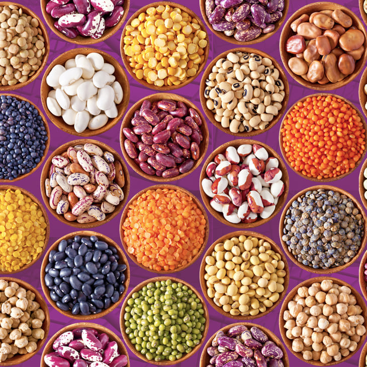 Protein-Rich Beans and Lentils – Nutrient-Dense Superfoods Assorted beans and lentils in bowls on a purple background